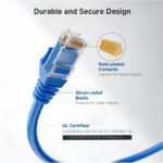 Ethernet Patch Cable – 50 ft - Image 2